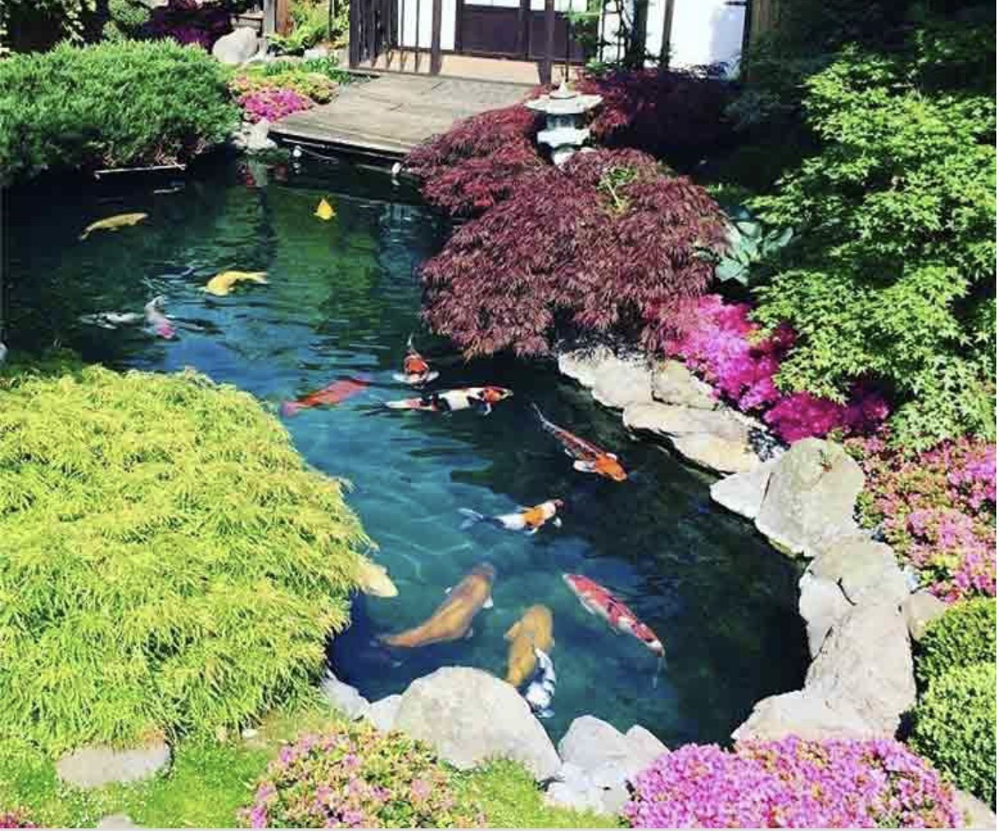 LỊCH SỬ CỦA CHÚNG TÔI